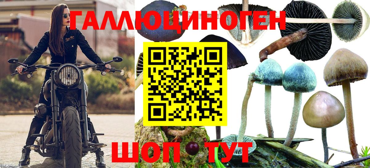 Псилоцибиновые грибы MAGIC MUSHROOMS Трёхгорный