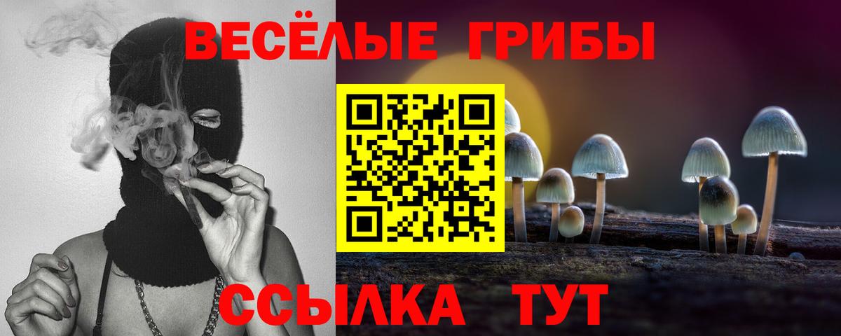 Галлюциногенные грибы GOLDEN TEACHER  Псилоцибиновые грибы мицелий  Вход с VPN  Трёхгорный 